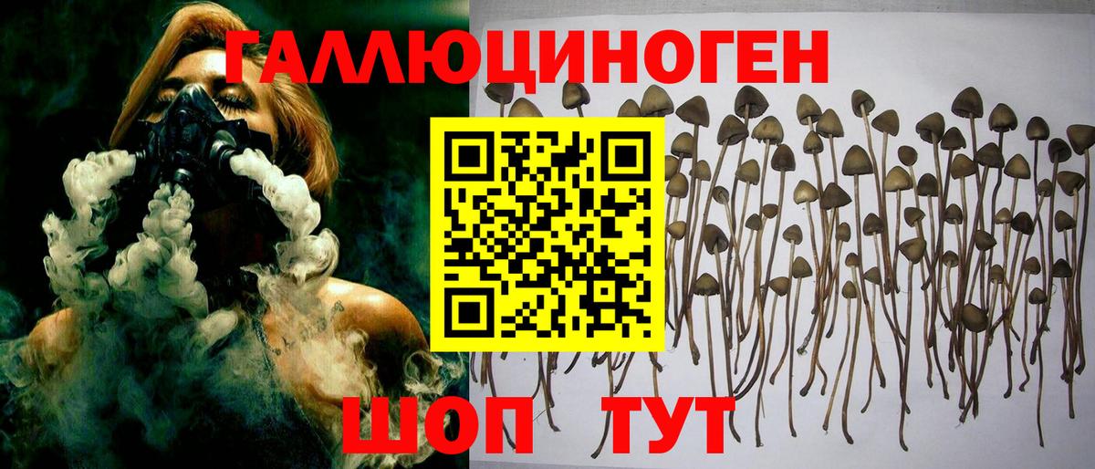 Галлюциногенные грибы мухоморы  наркошоп  Галлюциногенные грибы GOLDEN TEACHER  Рубцовск  Вход с VPN 